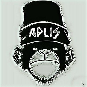 aplisjeffj_-_state_we_live_in-112