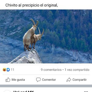 La voz de las calles