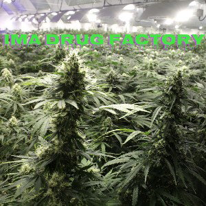 Lil XG Smoke - Ima Drug Factory