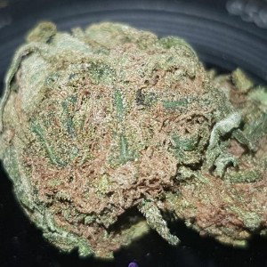 OG Kush