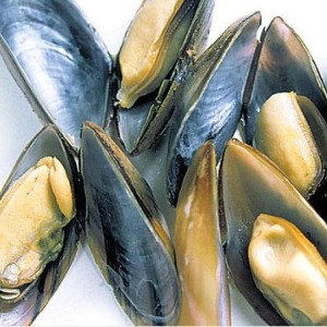 Hühnersuppe, keine Muscheln