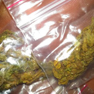 pickau yellow diamonds
