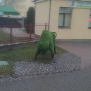 это подарок живу в Беларуси
