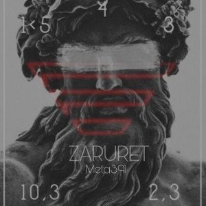 Meta391- Zaruret