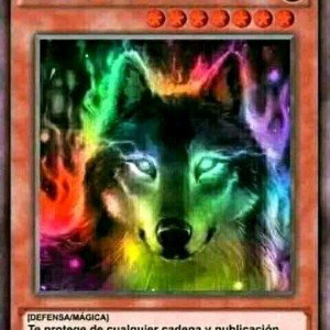  no dices nada