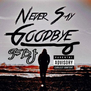 NEVER SAY GOODBYE