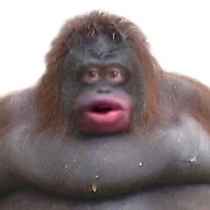 Monkey Man