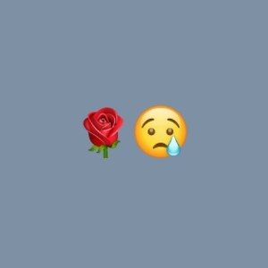 ROSA🥀