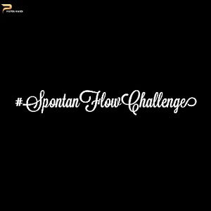 Goodstuff - SpontanFlowChallenge