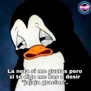 Otros cuentos que no son cuentos