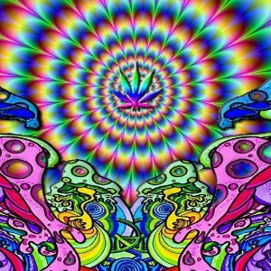 perkys/shitty freestyle I'm lit🤣😭👹
