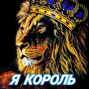👑  Я КОРОЛЬ 👑