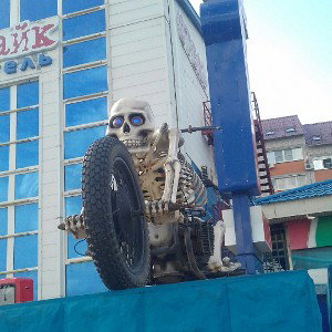 панты