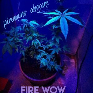 FireWow El Piromano Ft. Absame - 😑😁Fumele Fumele🚬