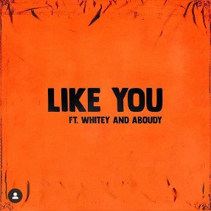 Like You Ft. Whitey & Aboudy