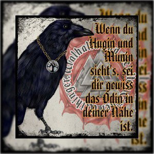 Raben der Nacht