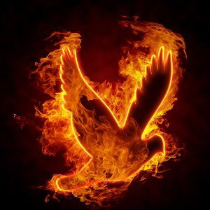 libre