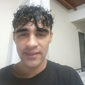 Los versos fugaces*