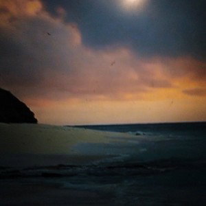 Wild - Relaks