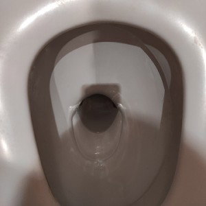 унитазiк