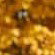 خدا 