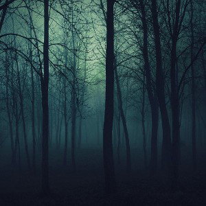 EL - BreatheThruTheTrees