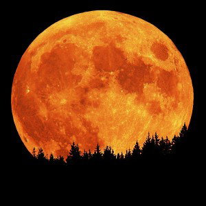 🌕 Moon 🌕