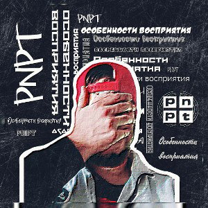 PNPT - Особенности восприятия