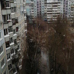 роль