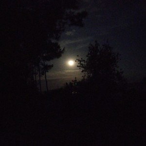  Луна(АЛЬБОМ БИТУБИТ) 
