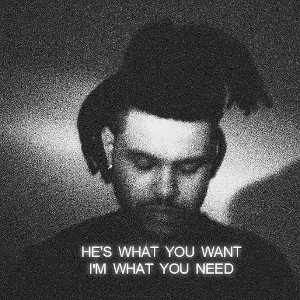 What You Need
