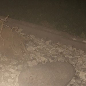 Damage