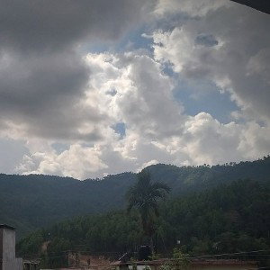 sabda
