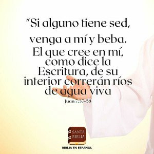 no hay paz