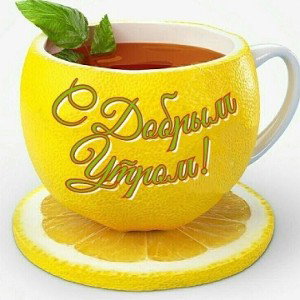                 muzon                         