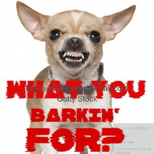 WHAT YOU BARKIN' FOR BY S K E