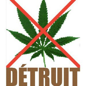 no to drugs