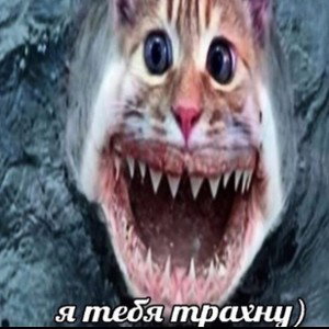 Прикончил всех фристайлеров