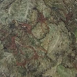 ??? pt.2