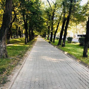 дшбшная фигня