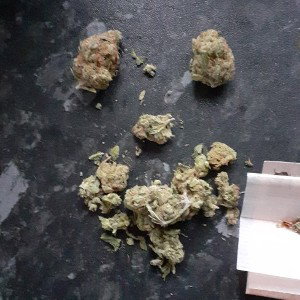 bills 