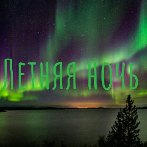 летняя ночь 