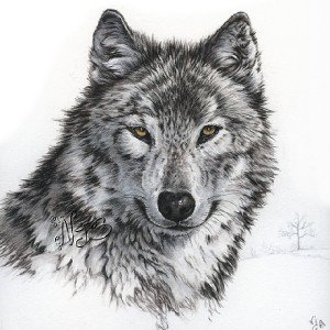 Le loup