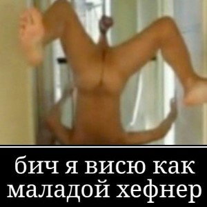 Йоу, собаки