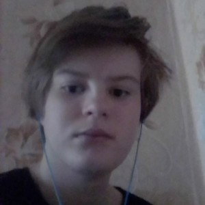 так и не понял