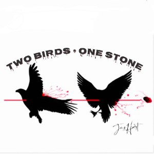 2Birds 1Stone