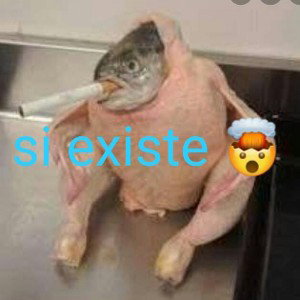 coge tu escopeta