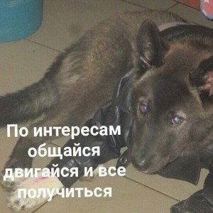 в прошлом 