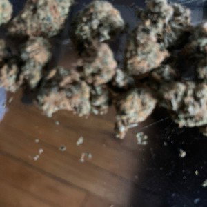 Gelato 