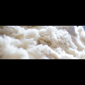 "Like Cashmere"